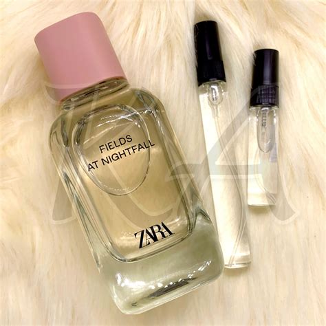 zara hibiscus perfume dupe for|zara fields at nightfall dupe.